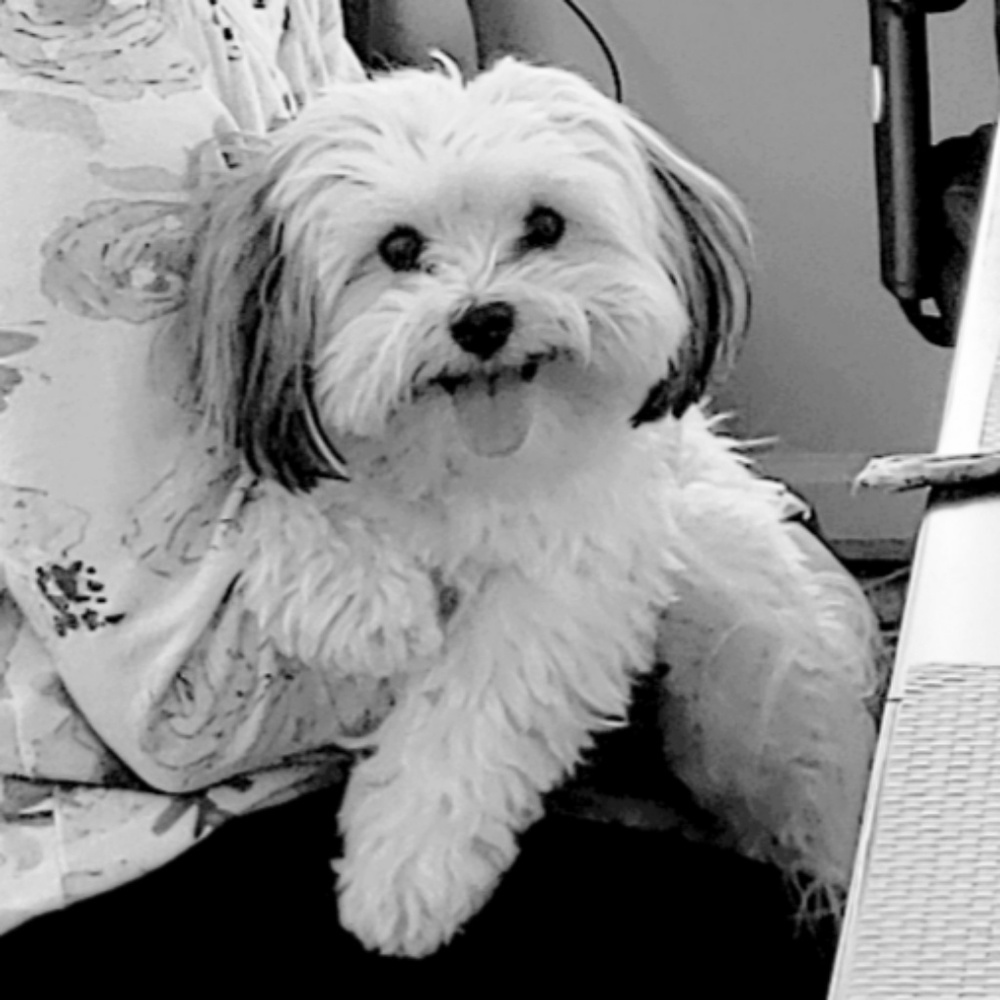 Meet your Posher, Keri